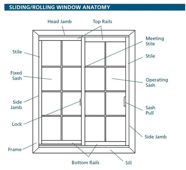 anatomías de estos dos tipos de ventana