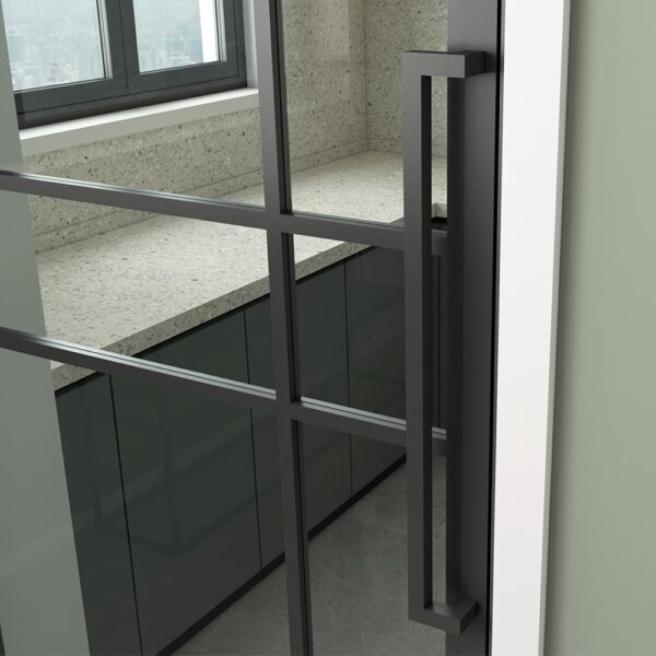 Steel Framed Glass Swing Door, New Style 6