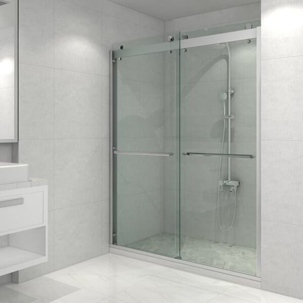 Tempered Glass Shower Door