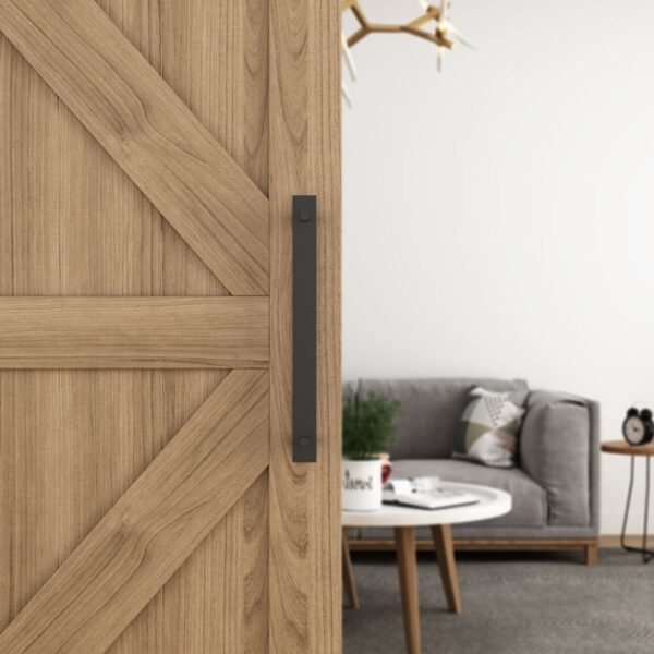 In the foreground, a wooden barn door with a black pull handle; behind it, a gray couch and white table with a plant complete the scene.