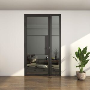 Sleek black-framed glass door in white wall, with potted green plant and view into a modern living room.