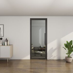 Matte black glass swing door in white wall, with a decor cabinet left and green potted plant right on wood floor.