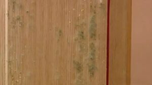 High-quality wooden sauna interior with natural finishes and warm lighting, ideal for relaxing health and wellness routines. Crafted with premium materials for durability and comfort.