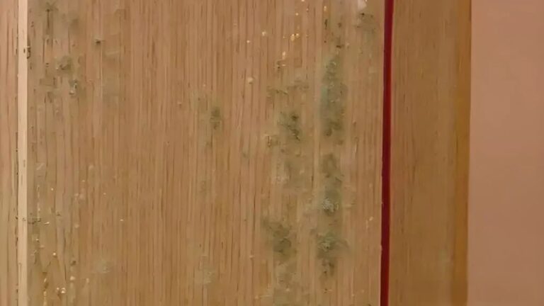 High-quality wooden sauna interior with natural finishes and warm lighting, ideal for relaxing health and wellness routines. Crafted with premium materials for durability and comfort.