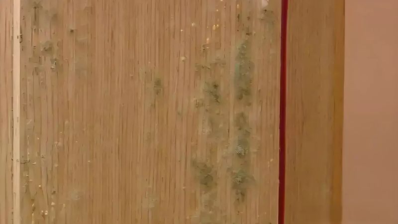 High-quality wooden sauna interior with natural finishes and warm lighting, ideal for relaxing health and wellness routines. Crafted with premium materials for durability and comfort.